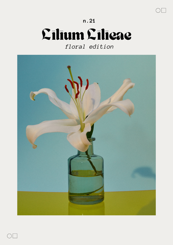 Lilium Ciliatum – A3| Modern Art Collection