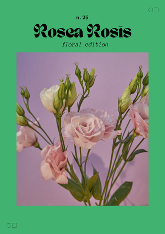 Rosea Rosis – A3 | Modern Art Collection